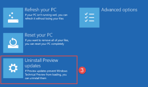 Remove Windows 10