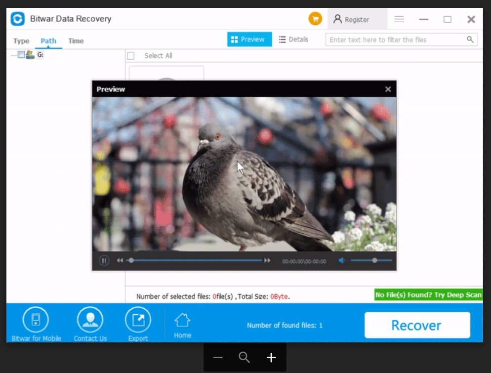 BrowserDownloadsView 1.45 instal the last version for windows